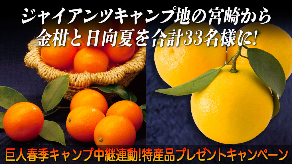 巨人春季キャンプ中継連動！特産品プレゼントキャンペーン