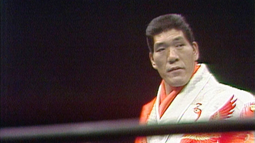 プロレス激闘の記憶