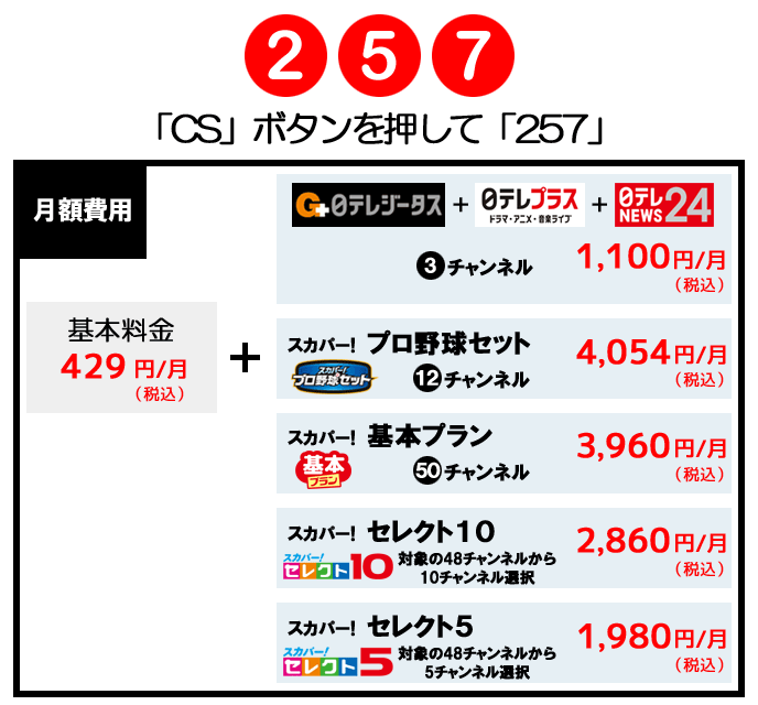 視聴方法 日テレジータス